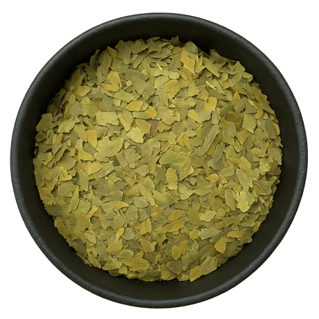  (Background Removed)