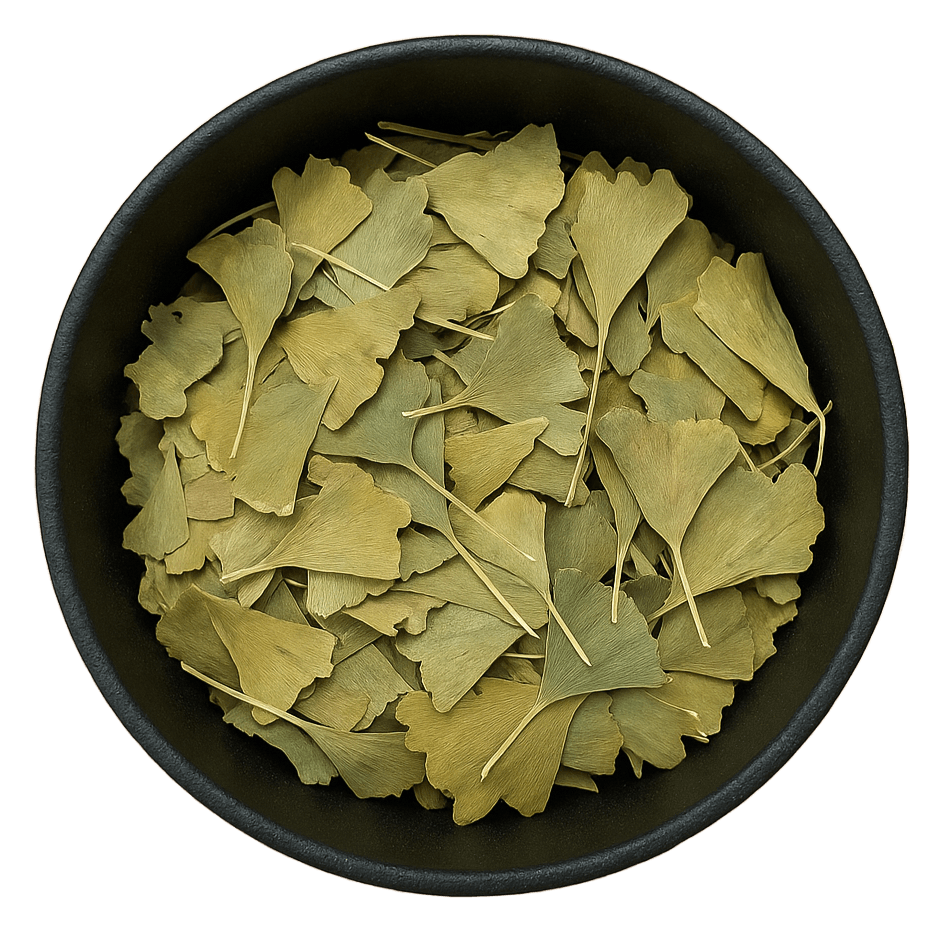  (Background Removed)