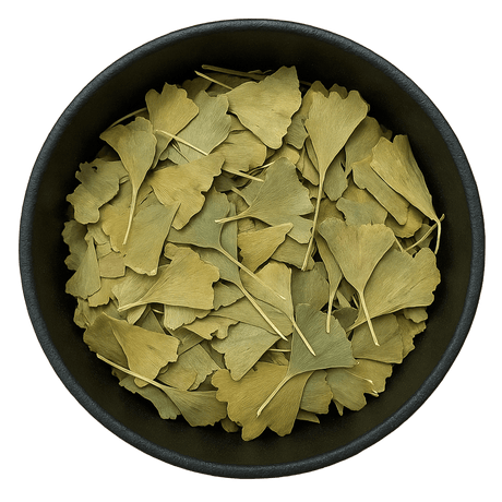  (Background Removed)