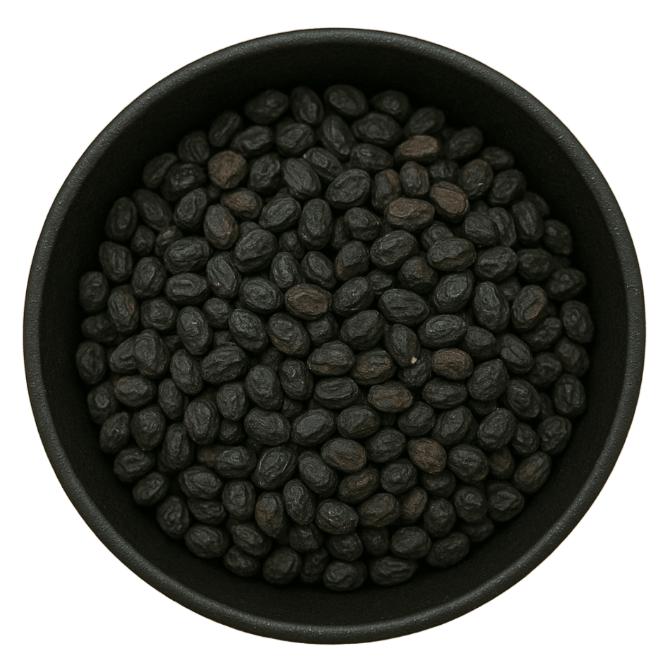  (Background Removed)