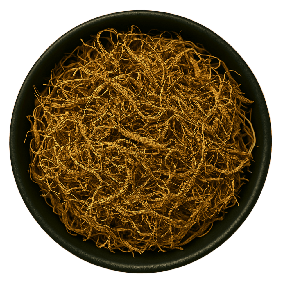  (Background Removed)