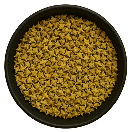  (Background Removed)