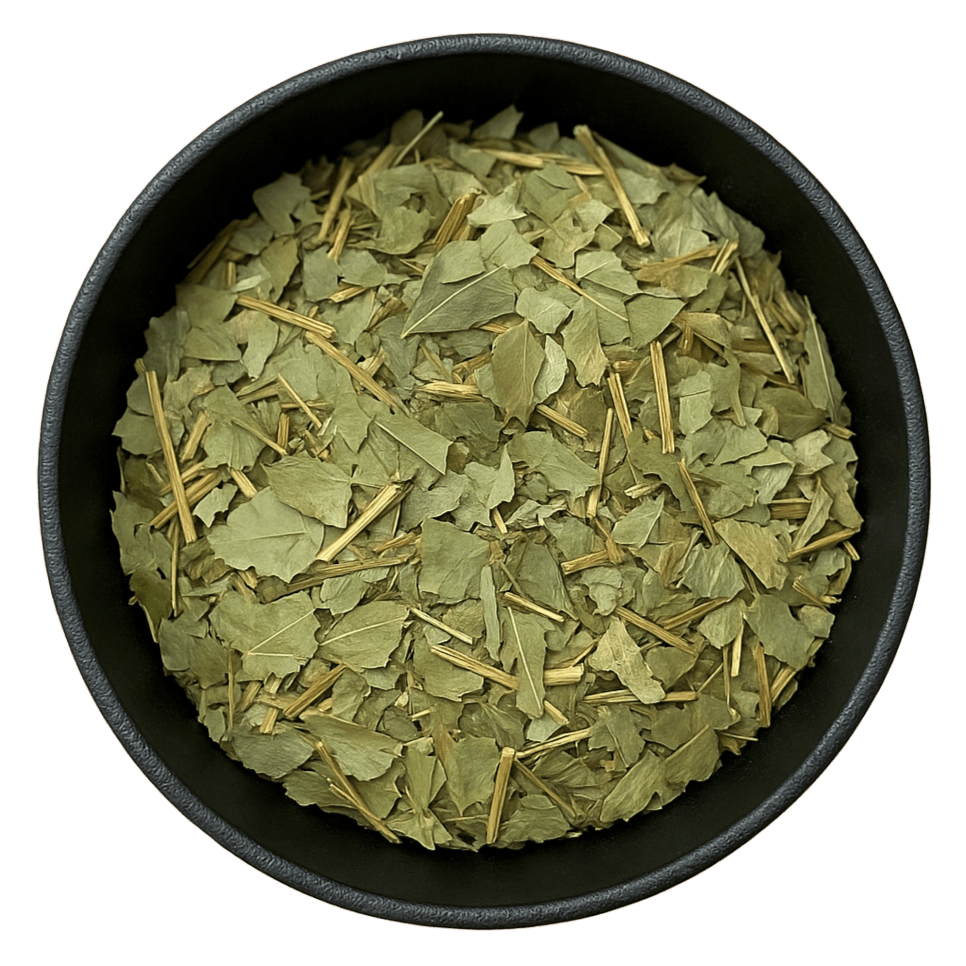  (Background Removed)