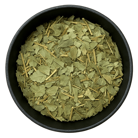  (Background Removed)