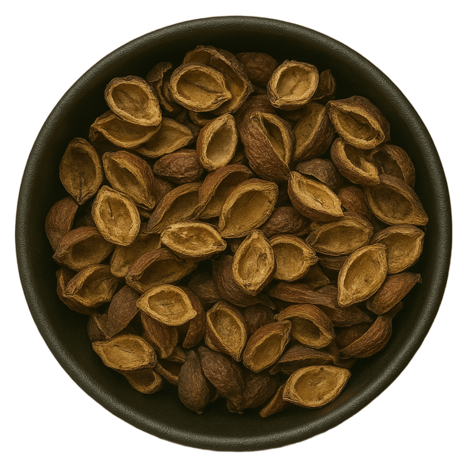  (Background Removed)