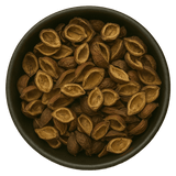  (Background Removed)