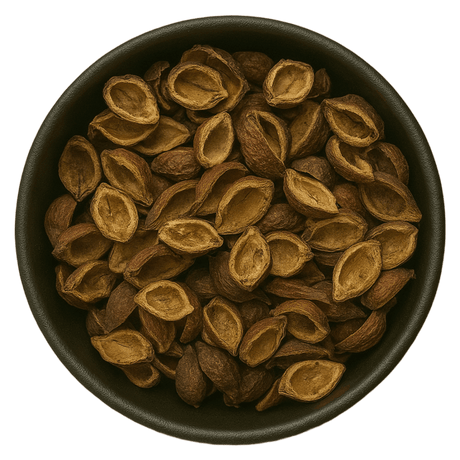  (Background Removed)