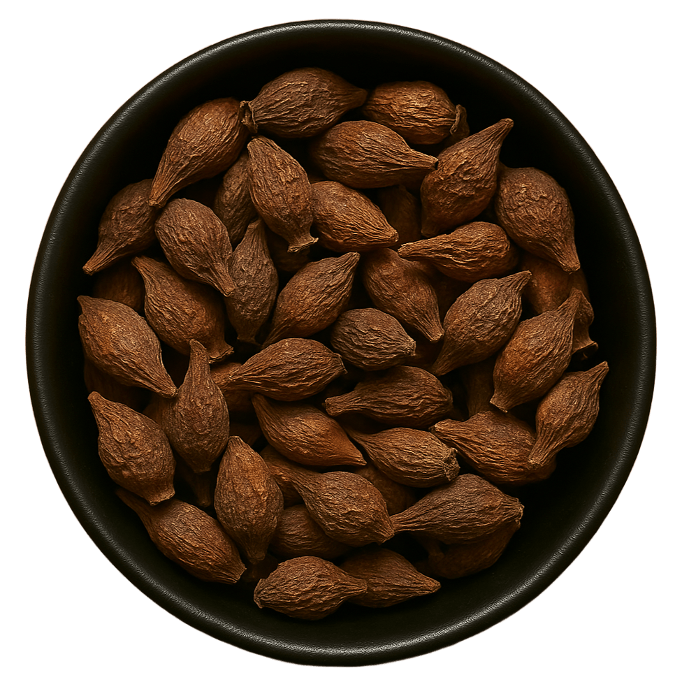  (Background Removed)