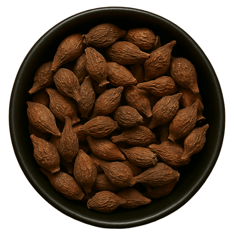  (Background Removed)