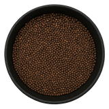  (Background Removed)