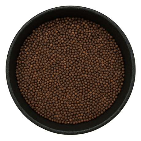  (Background Removed)