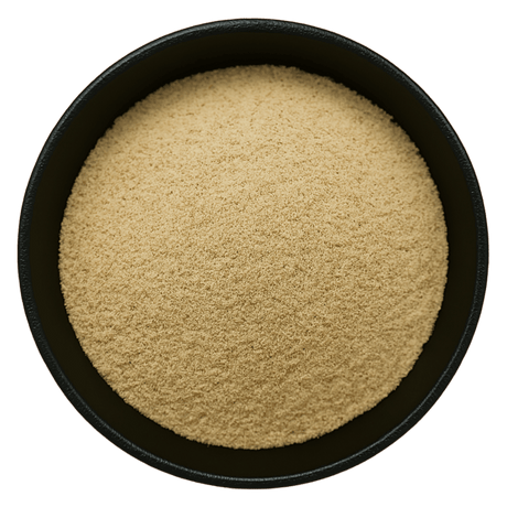  (Background Removed)