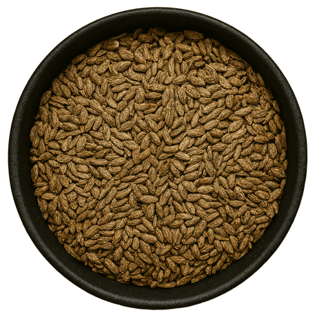  (Background Removed)