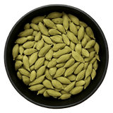  (Background Removed)