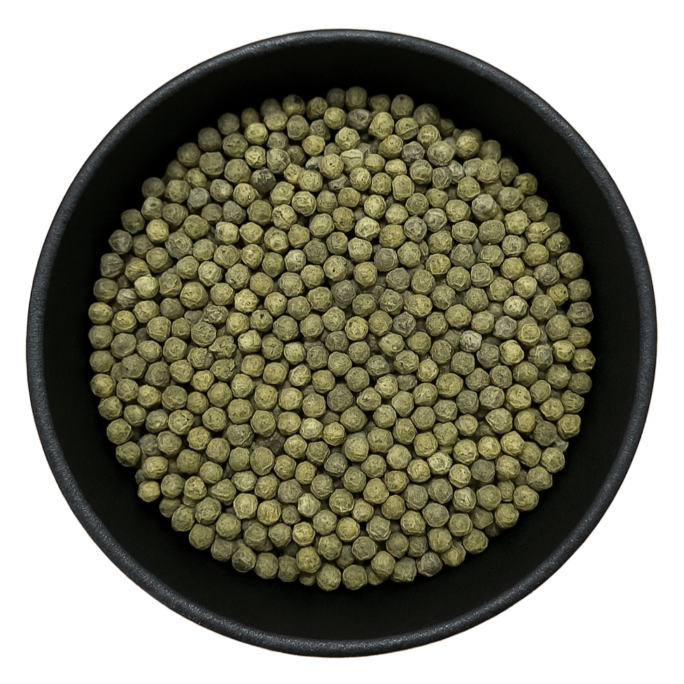  (Background Removed)