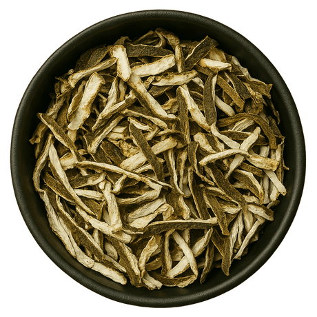  (Background Removed)