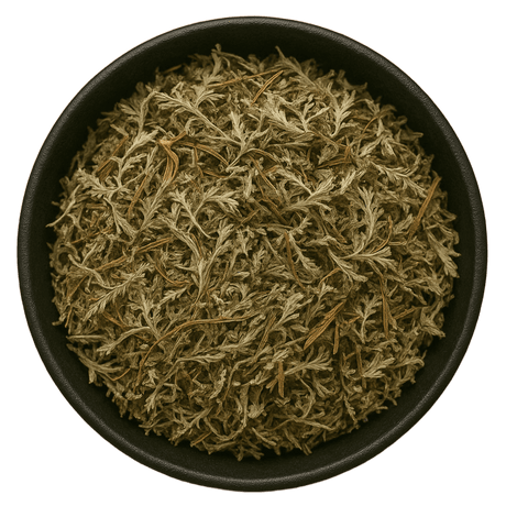  (Background Removed)