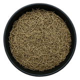  (Background Removed)