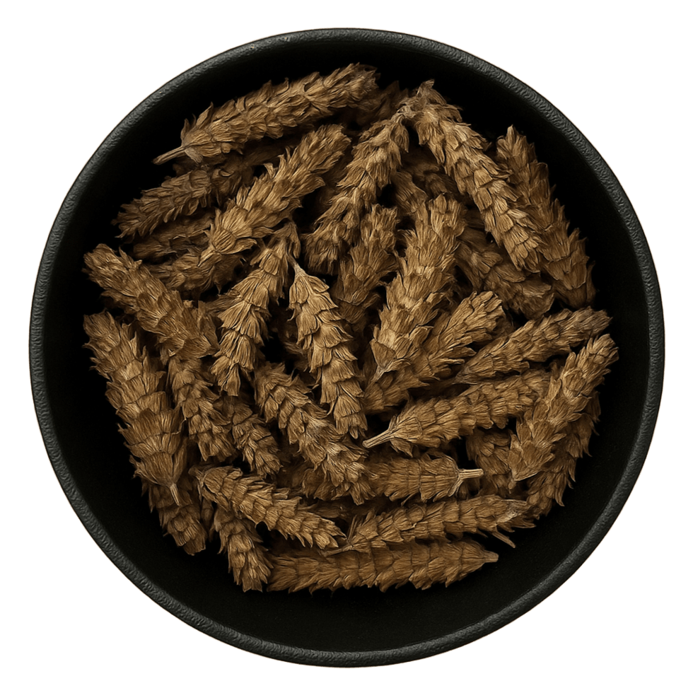  (Background Removed)