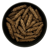  (Background Removed)