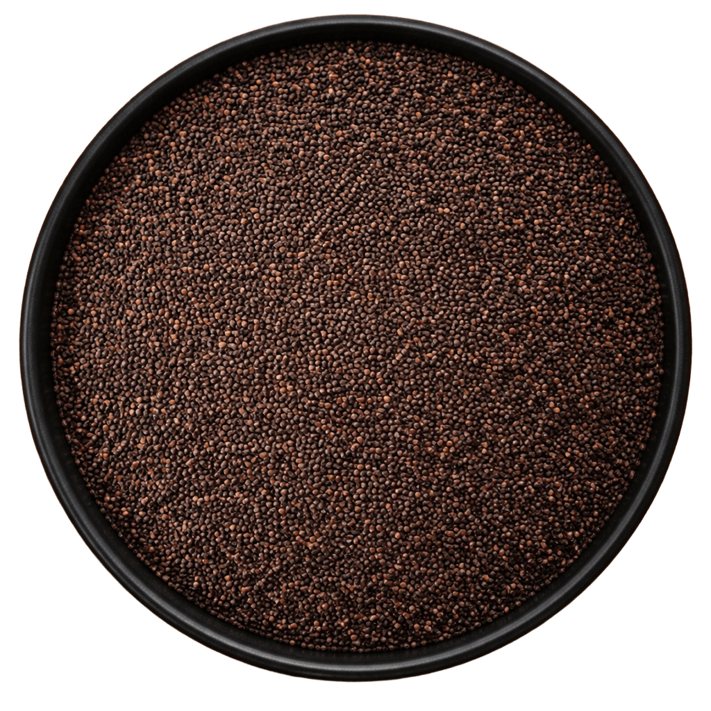  (Background Removed)
