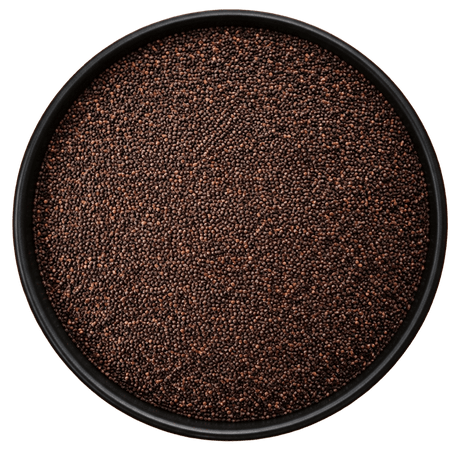  (Background Removed)