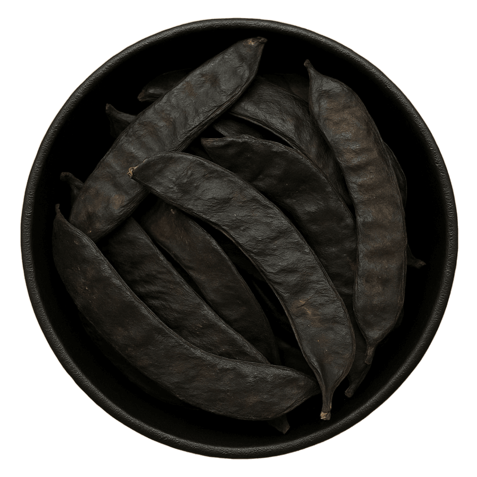  (Background Removed)