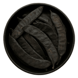  (Background Removed)