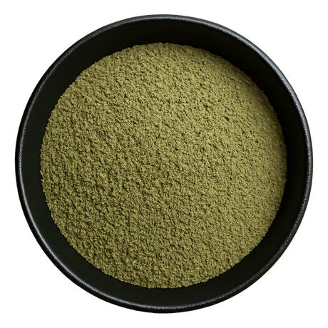  (Background Removed)