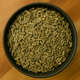 Horsetail Stem Cut (Equisetum Arvense)