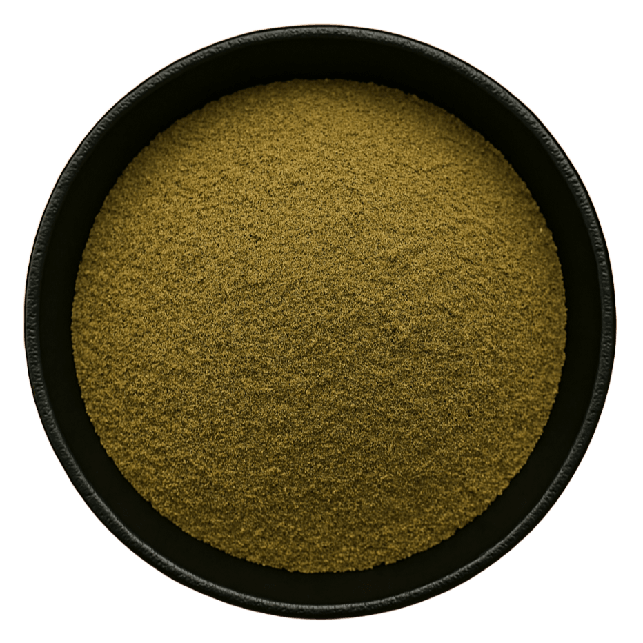  (Background Removed)