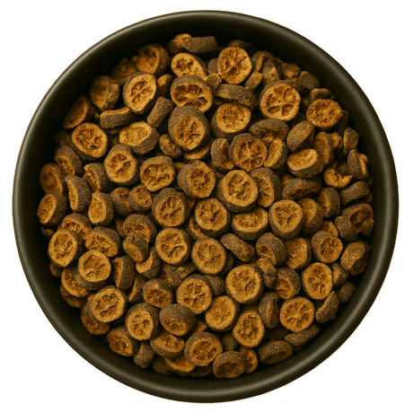  (Background Removed)