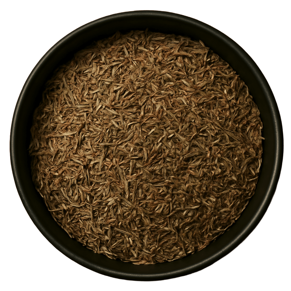  (Background Removed)