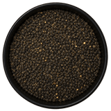  (Background Removed)
