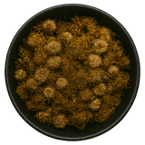  (Background Removed)