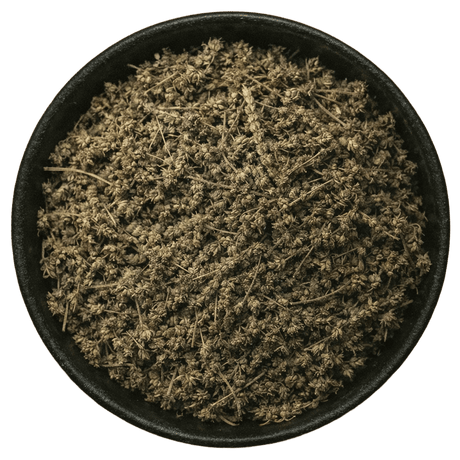  (Background Removed)