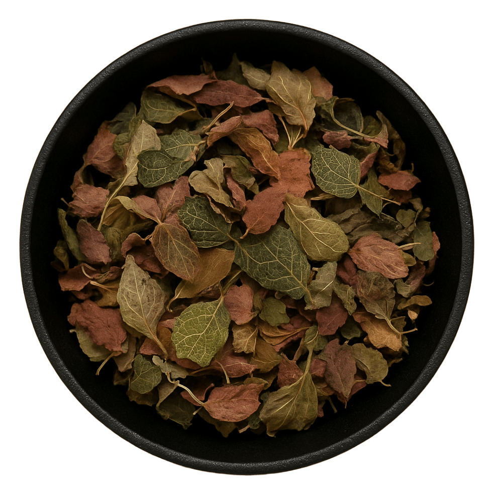  (Background Removed)