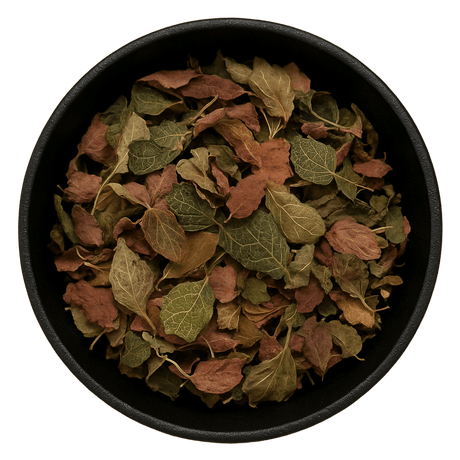  (Background Removed)