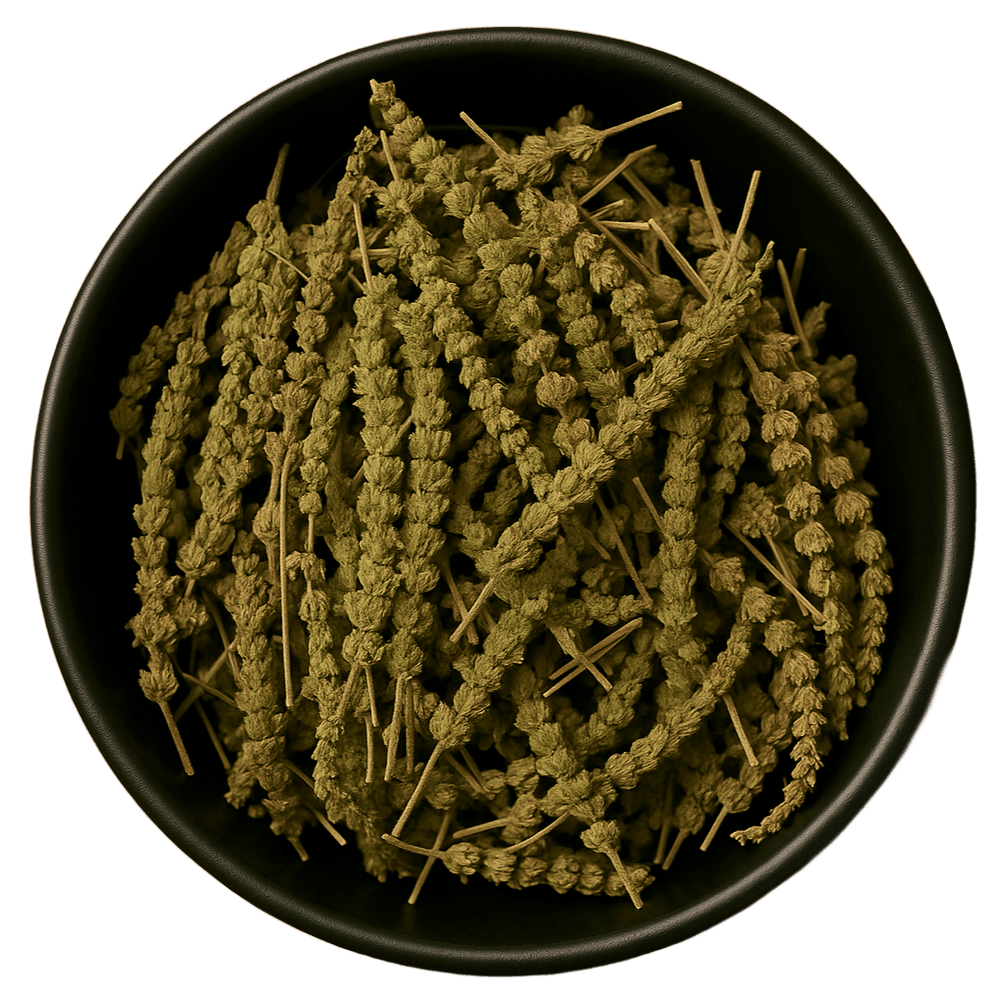  (Background Removed)