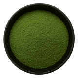  (Background Removed)