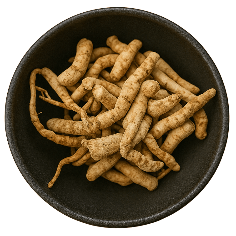  (Background Removed)