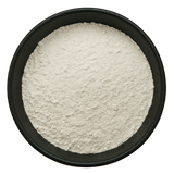  (Background Removed)