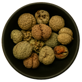 Katsumada Galangal Seed Whole (Alpinia Katsumadai)