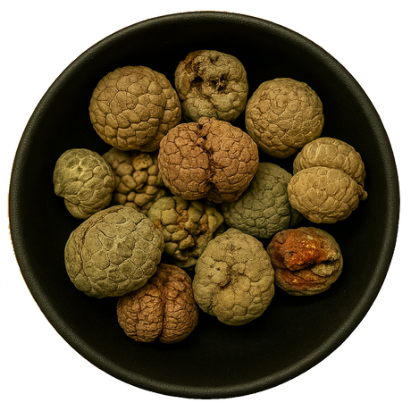 Katsumada Galangal Seed Whole (Alpinia Katsumadai)