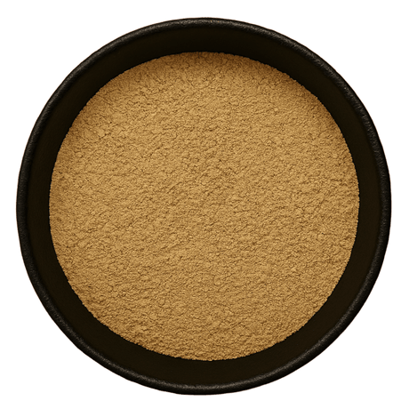  (Background Removed)