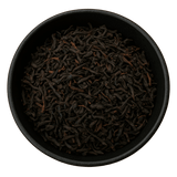  (Background Removed)