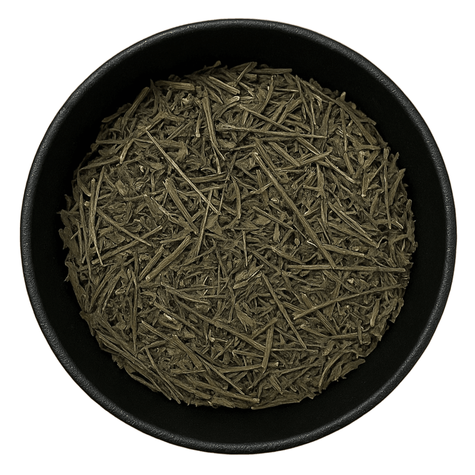  (Background Removed)