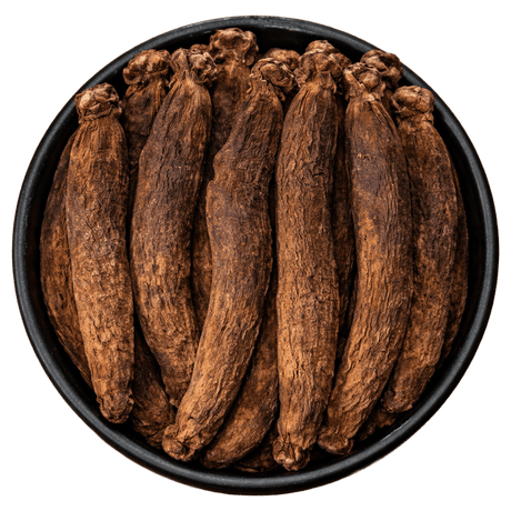  (Background Removed)