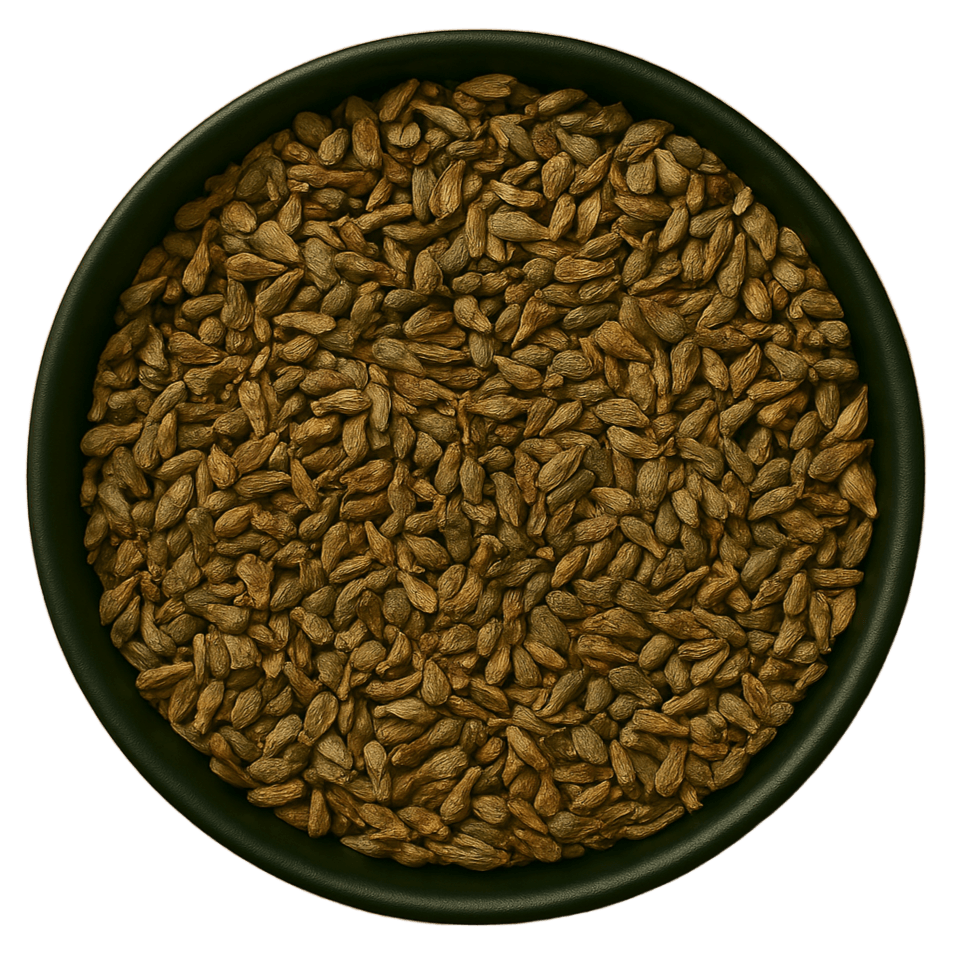  (Background Removed)