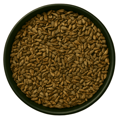  (Background Removed)